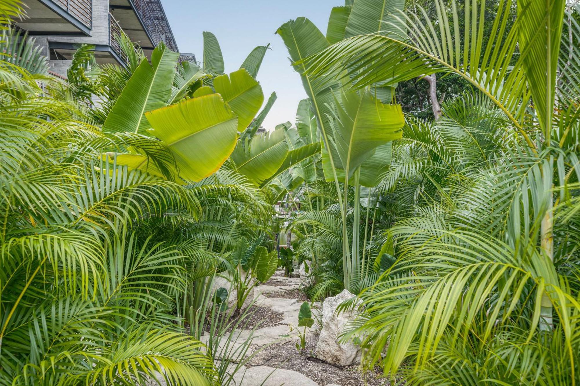 Waterworld Tulum 2Br W Cenote -Lagoons - Big Gym Luaran gambar